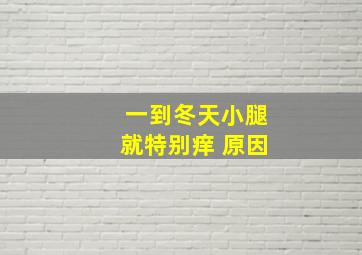 一到冬天小腿就特别痒 原因